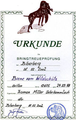 www.griffon-vom-kammeltal.de Bringtreueprfung Btr