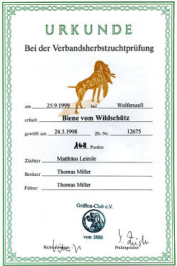 www.griffon-vom-kammeltal.de Verbandszuchtprfung HZP