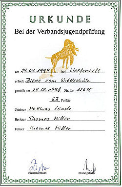 www.griffon-vom-kammeltal.de Verbandsjugendprfung VJP
